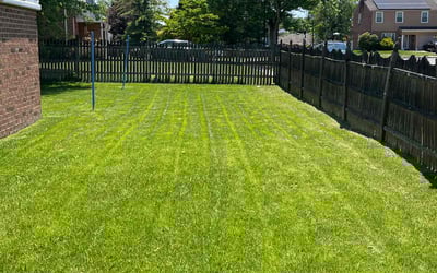 Photo of Rachel N.'s yard after getting lawn care in San Marcos, TX