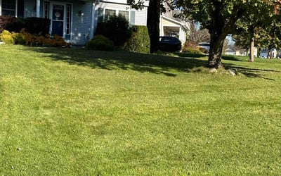 Photo of Jeanine w.'s yard after getting lawn care in Spencerport, NY