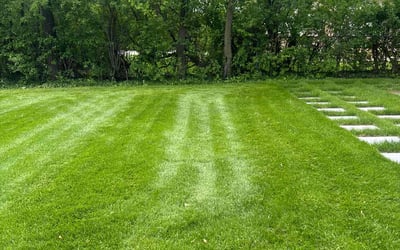 Photo of Sendy P.'s yard after getting lawn care in Glenview, IL