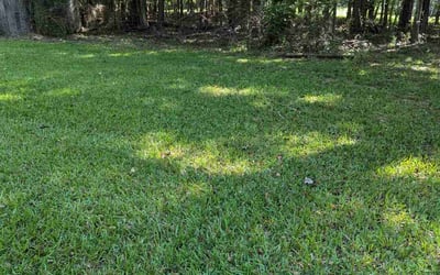 Photo of Elizabeth K.'s yard after getting lawn care in Fort Mill, SC