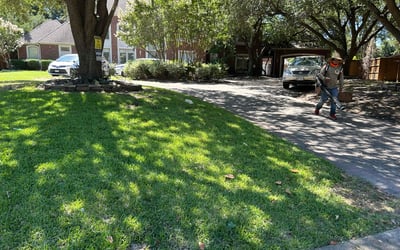 Photo of Flojean W.'s yard after getting lawn care in Mims, FL