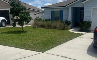 Photo of Tracy Y.'s yard after getting lawn care in Fernandina Beach, FL