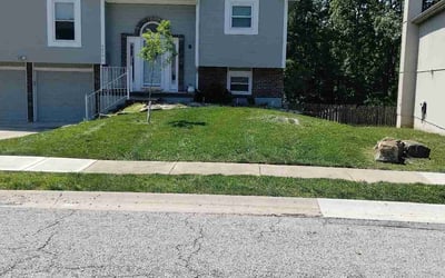 Photo of Day H.'s yard after getting lawn care in Grain Valley, MO