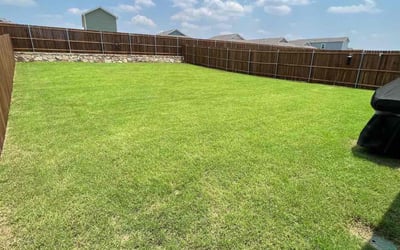 Photo of Angelina F.'s yard after getting lawn care in Princeton, TX