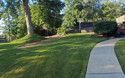 Photo of Gaylynn H.'s yard after getting lawn care in Elk River, MN
