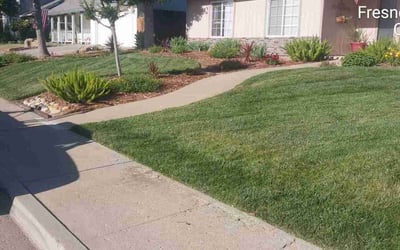 Photo of James C.'s yard after getting lawn care in San Jose, CA