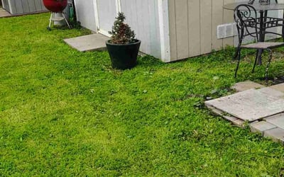 Photo of Krishanda G.'s yard after getting lawn care in Santa Clara, CA