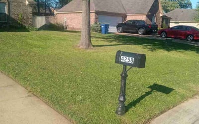 Photo of Shareka R.'s yard after getting lawn care in Horn Lake, MS