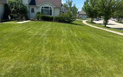 Photo of Karen R.'s yard after getting lawn care in Plainfield, IL