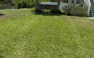 Photo of Wynnette B.'s yard after getting lawn care in New Haven, IN