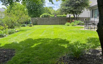 Photo of Ronnie S.'s yard after getting lawn care in Justice, IL