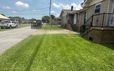 Photo of Etta P.'s yard after getting lawn care in Westwego, LA