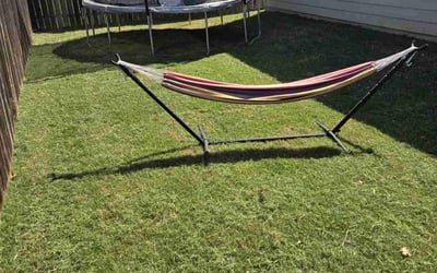 Photo of Belinda B.'s yard after getting lawn care in Austin, TX