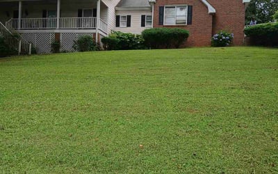 Photo of Amber A.'s yard after getting lawn care in Imperial, MO