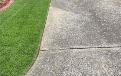 Photo of Bryan M.'s yard after getting lawn care in North Little Rock, AR