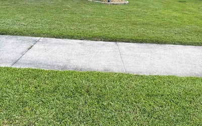 Photo of Ana Z.'s yard after getting lawn care in Liberty Hill, TX