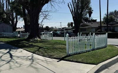 Photo of Lydia B.'s yard after getting lawn care in Rialto, CA