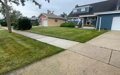 Photo of Leslie H.'s yard after getting lawn care in Park Ridge, IL