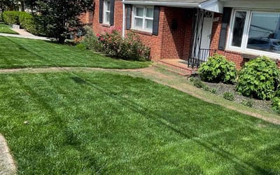 Photo of Demetrius C.'s yard after getting lawn care in Arlington, VA