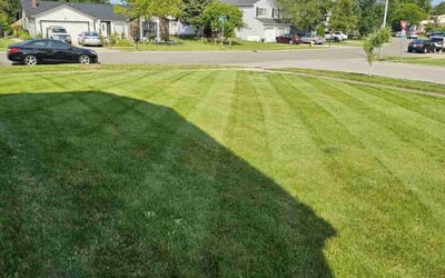 Photo of Brandon D.'s yard after getting lawn care in Glendale Heights, IL