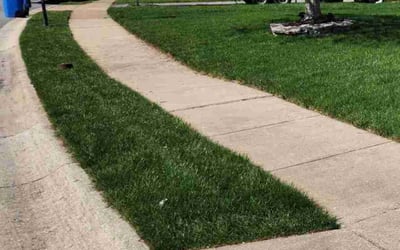 Photo of Morgan K.'s yard after getting lawn care in Annapolis, MD