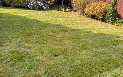 Photo of Dario M.'s yard after getting lawn care in Warwick, RI