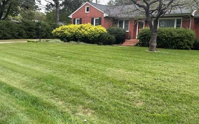 Photo of Casey D.'s yard after getting lawn care in Richmond, VA