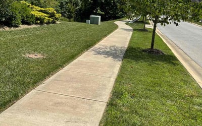 Photo of James W.'s yard after getting lawn care in Oxon Hill, MD