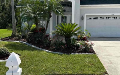 Photo of Matthew T.'s yard after getting lawn care in Land O' Lakes, FL