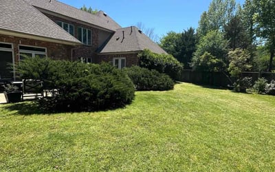 Photo of Sonya K.'s yard after getting lawn care in Ridgeland, MS