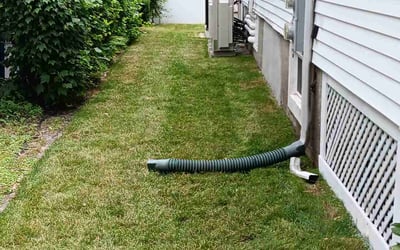 Photo of Jon K.'s yard after getting lawn care in Dorchester, MA