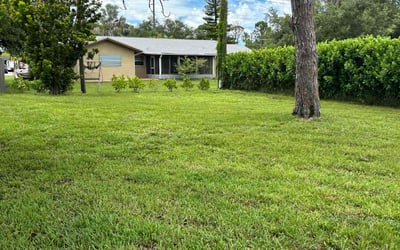 Photo of Melinda L.'s yard after getting lawn care in Tallahassee, FL