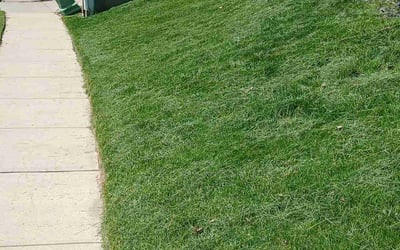 Photo of Melissa J.'s yard after getting lawn care in Imperial, PA