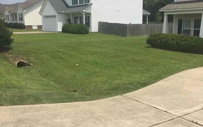 Photo of Adrienne L.'s yard after getting lawn care in Smithfield, NC