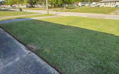 Photo of Rita M.'s yard after getting lawn care in Jacksonville, NC