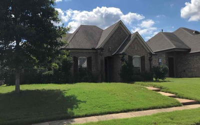 Photo of Patricia L.'s yard after getting lawn care in Somerville, TN