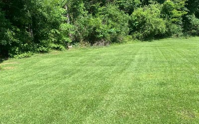 Photo of Rachel H.'s yard after getting lawn care in Lancaster, SC