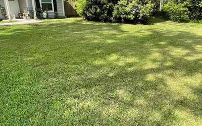 Photo of Mike C.'s yard after getting lawn care in Mission, KS