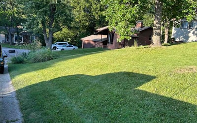 Photo of Ken A.'s yard after getting lawn care in Lacygne, KS