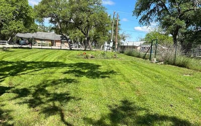 Photo of Tracye B.'s yard after getting lawn care in Canyon Lake, TX