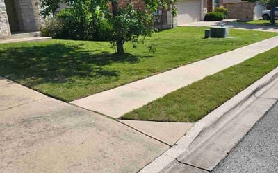 Photo of Kathy H.'s yard after getting lawn care in Long Beach, NY