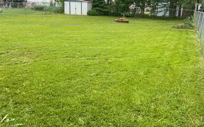 Photo of Jerry C.'s yard after getting lawn care in Cary, IL