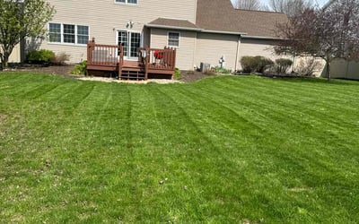 Photo of Beth H.'s yard after getting lawn care in Sun Prairie, WI