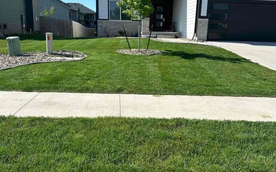 Photo of Oretha p.'s yard after getting lawn care in Urbandale, IA