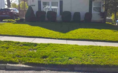 Photo of Sudarsan S.'s yard after getting lawn care in Cuyahoga Falls, OH