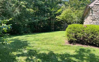Photo of Linda T.'s yard after getting lawn care in Ocean City, MD