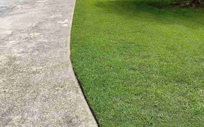 Photo of Elizabeth B.'s yard after getting lawn care in Grayson, GA