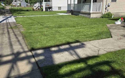 Photo of Abbas R.'s yard after getting lawn care in Riverdale, IL