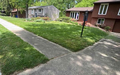 Photo of Daniel G.'s yard after getting lawn care in Columbia, MD