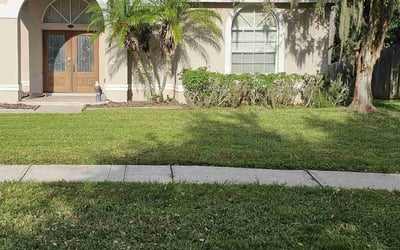 Photo of Graham F.'s yard after getting lawn care in Palm Harbor, FL